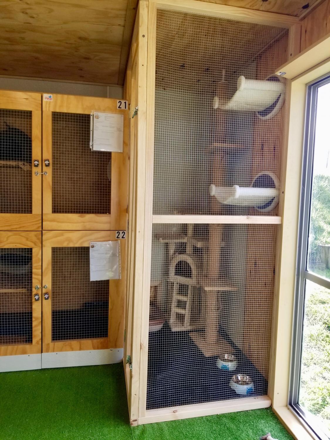 cat family room boarding