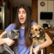 DALL·E .. Desperate and overwhelmed teenage female pet sitter that take care on a dog and a cat