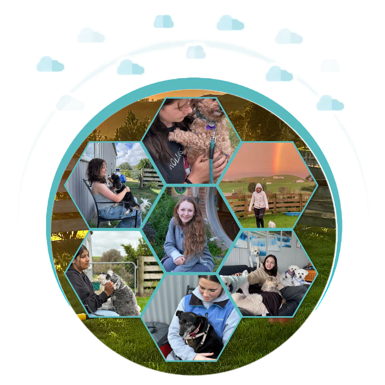 CollageHomepage.png
